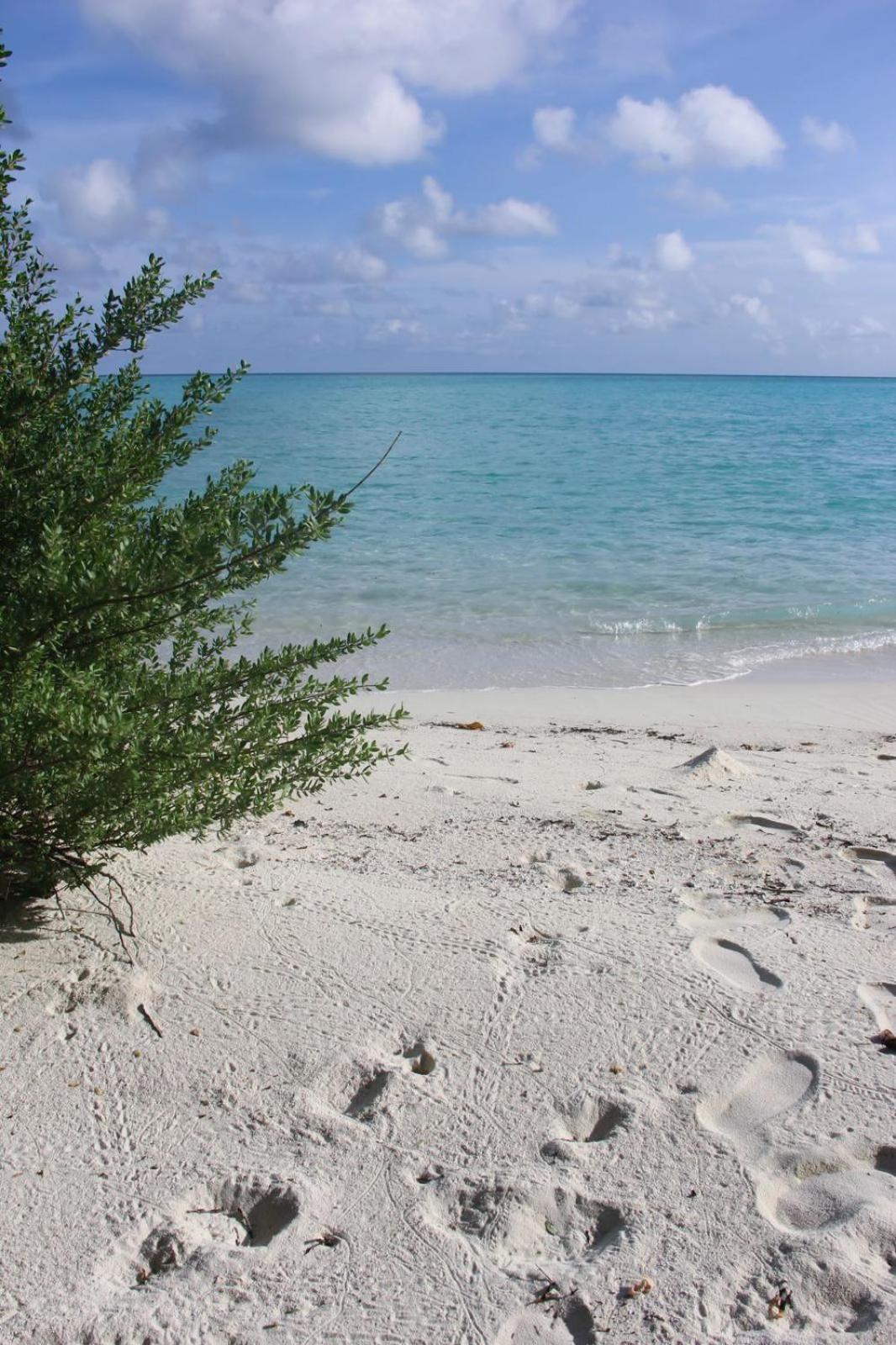 מלון Fehendhoo Isla Retreat מראה חיצוני תמונה